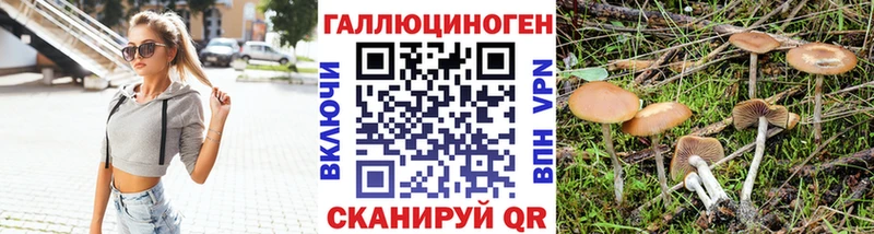 Галлюциногенные грибы Psilocybine cubensis  Купить где  Наволоки 